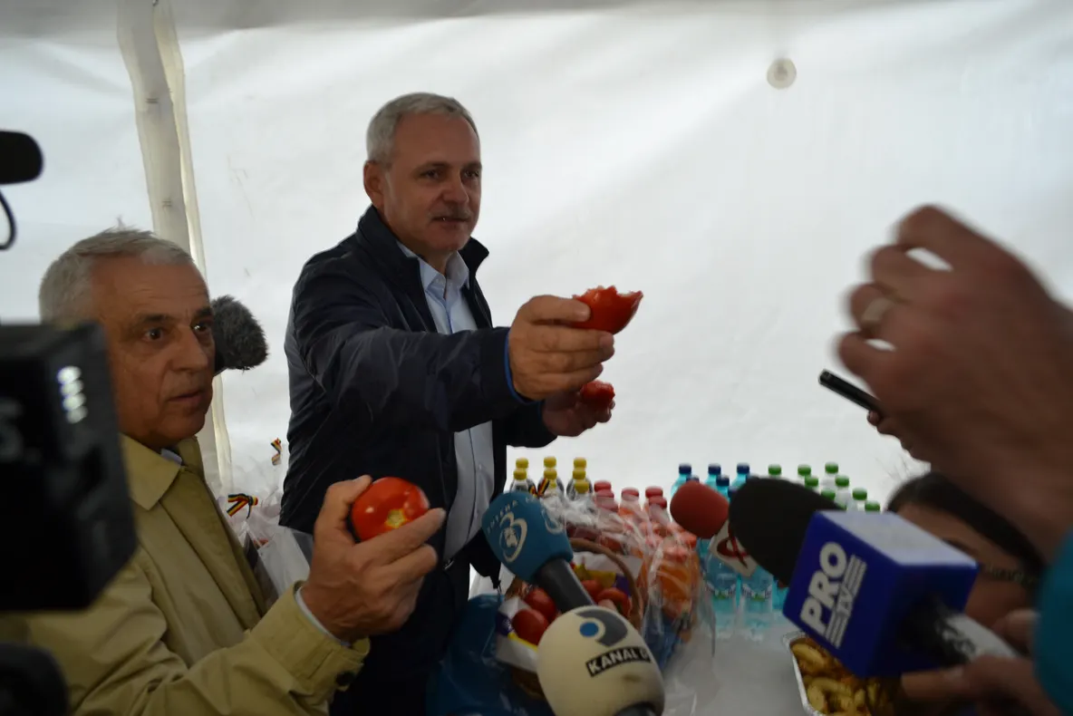 Ministerul Agriculturii falimentează cultivatorii de tomate