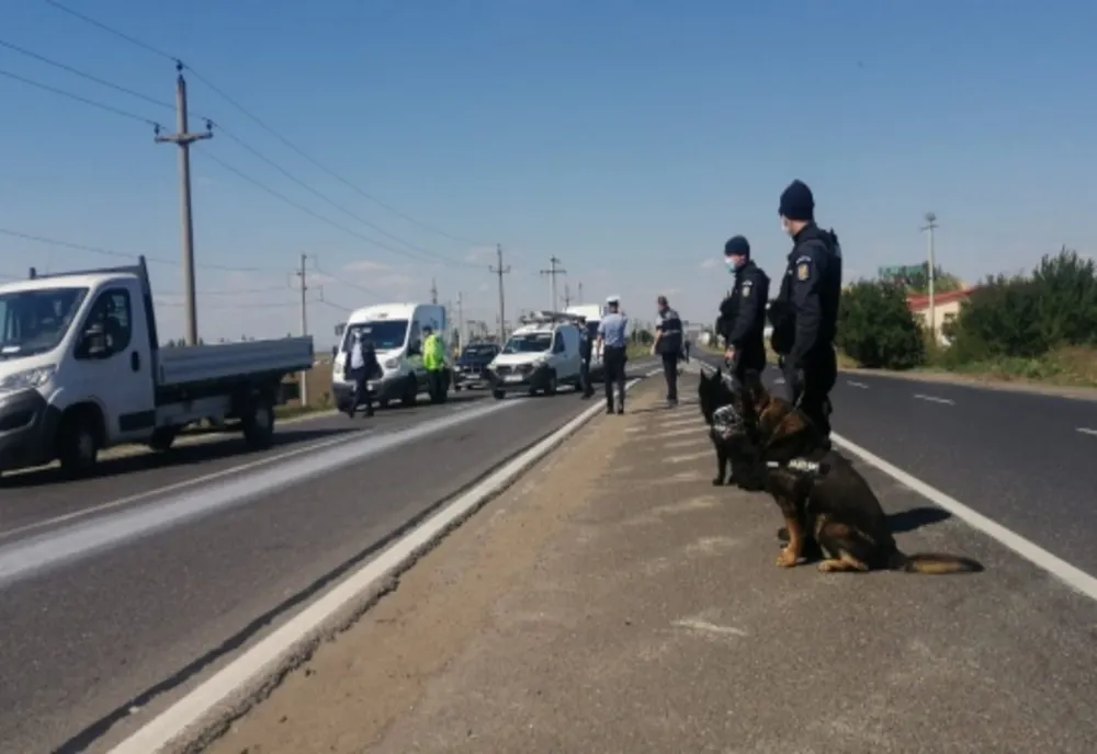 Un tânăr izolat la domiciliu în Călărași, prins de polițiști în Ialomița