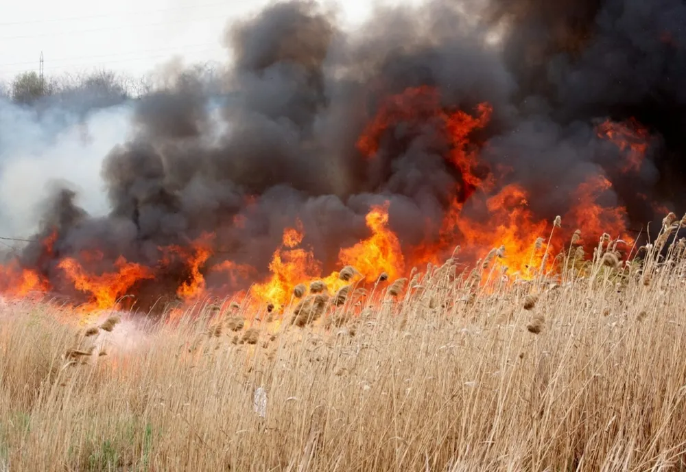 Incendii de vegetație uscată în Ialomița