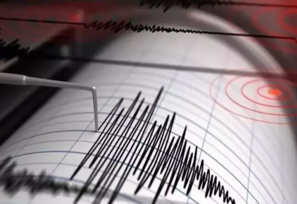 Cutremur de 3,4 grade pe scara Richter în prima zi anului