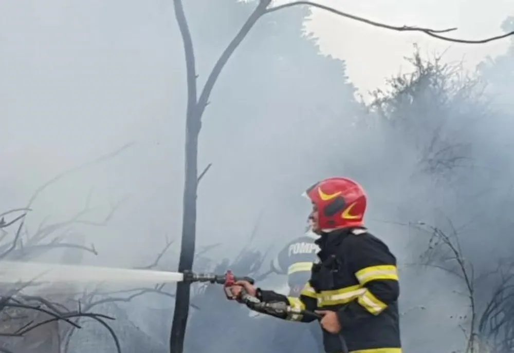 Incendiu violent la Bărbulești. Focul a fost pus intenționat