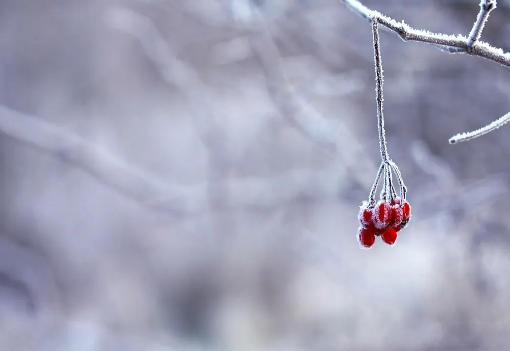 Temperaturi negative în weekend - Anunțul meteorologilor