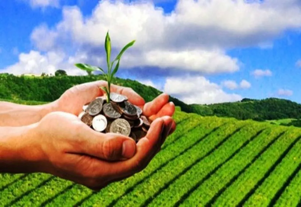 MINISTRUL AGRICULTURII: S-A DECIS ALOCAREA A 578 DE MILIOANE DE LEI SUPLIMENTARE PENTRU INVESTIȚIILE ÎN AGRICULTURĂ