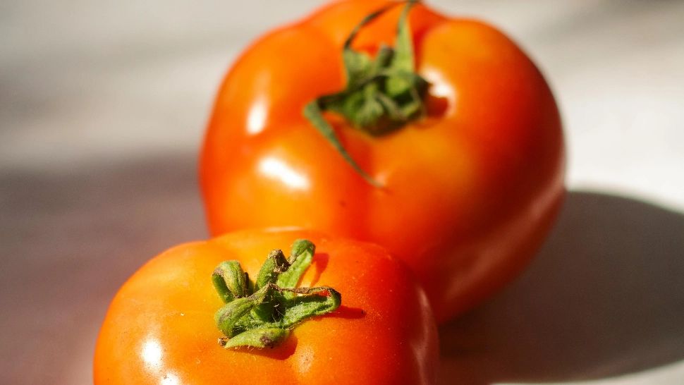 ANPC a găsit neconformități la 121 de tone de legume în București-Ilfov. Pesticide confirmate în produse certificate ca fiind curate
