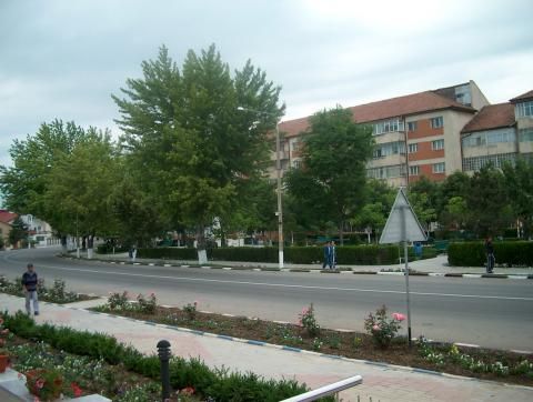 La Țăndărei, hoții fură camerele video pe care au fost înregistrați