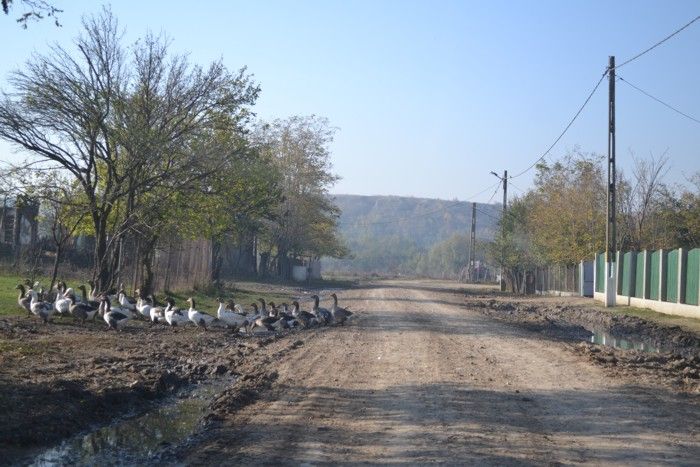 Zero lei atraşi de Consiliul Judeţean Ialomiţa prin PNDL 2