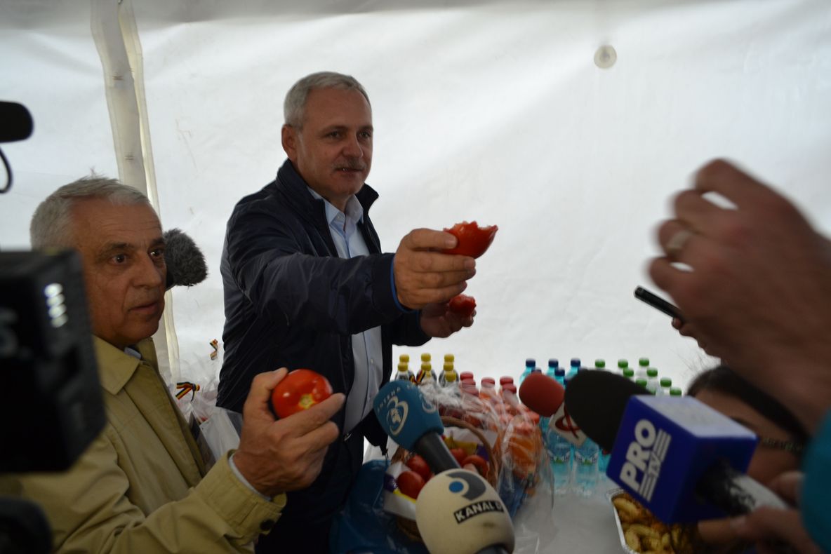 Cormoranul Daea pune pe butuci legumicultura ialomițeană