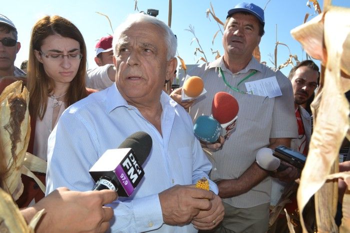 Pesta porcină africană interzice „Ziua Porumbului”!