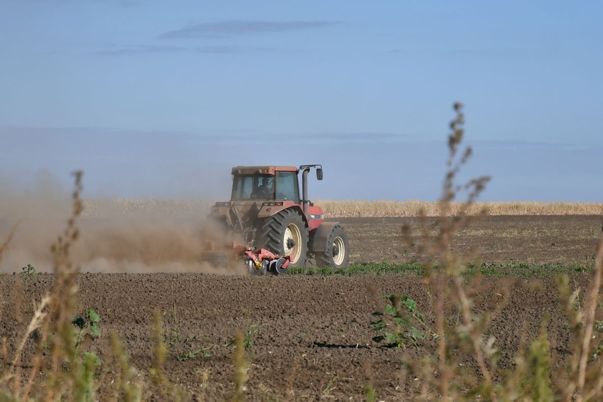 Consiliul Judeţean Ialomiţa face bani din pământul primit cadou de la Guvern