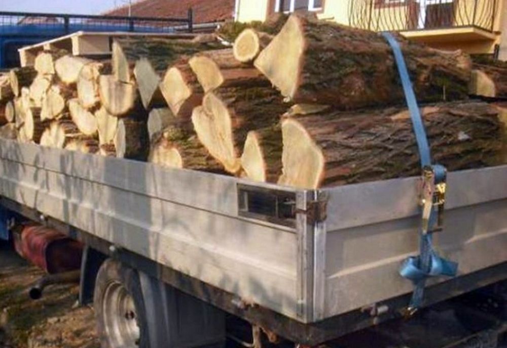 15.000 de lei, amenzi pentru lemn furat, în Harghita
