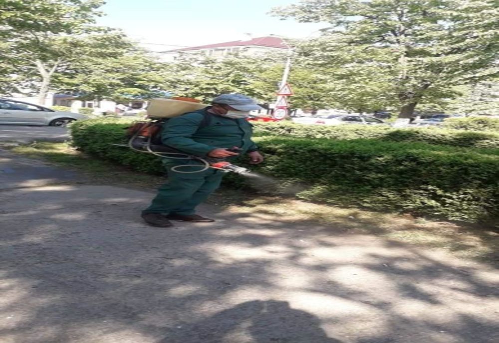 A început dezinsecția împotriva țânțarilor și căpușelor în Municipiul Fetești