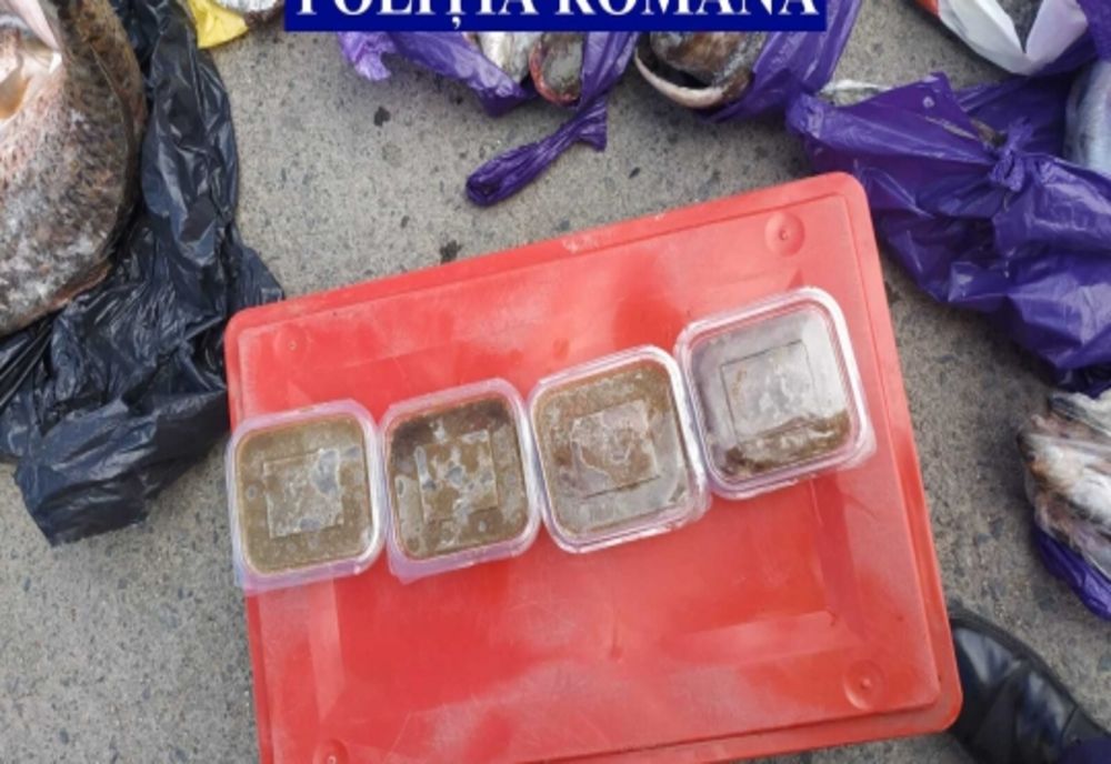 Peşte transportat fără documente legale, confiscat de poliţiştii din Făcăieni