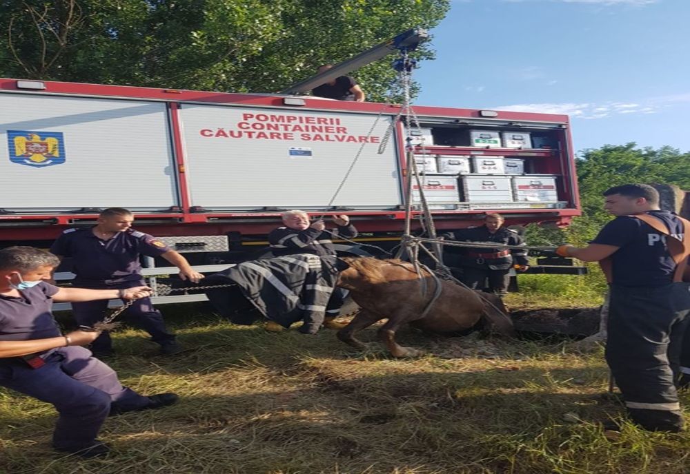 FOTO| Cal salvat de pompieri dintr-o groapă