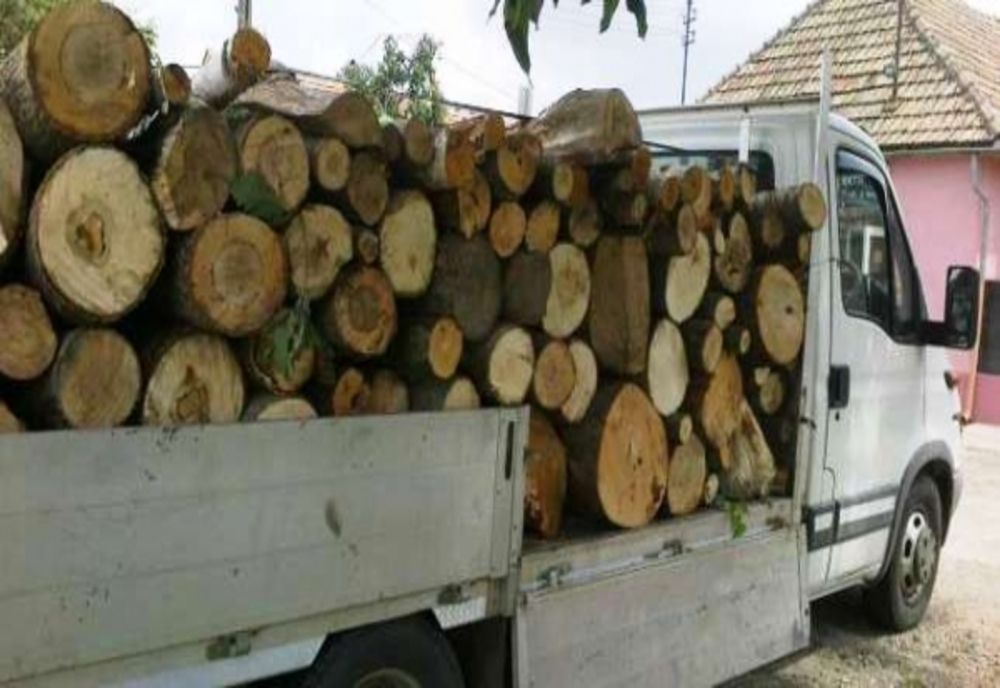 Hoți de lemne prinși de polițiști