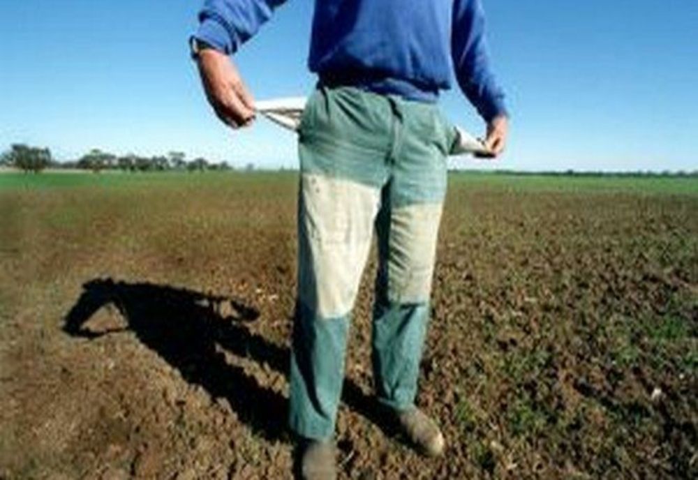 Fermierii români PROTESTEAZĂ! Proiectul de buger al MADR nu include despăgubirile pentru culturile calamitate 