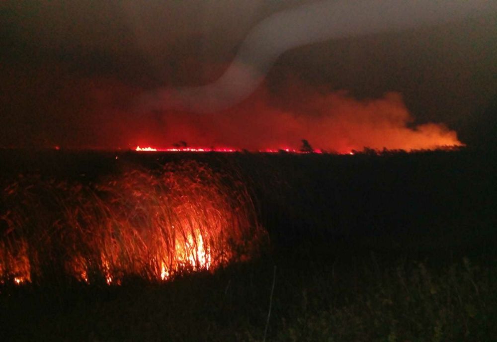 Incendiu puternic de vegetație uscată și stuf în Ialomița