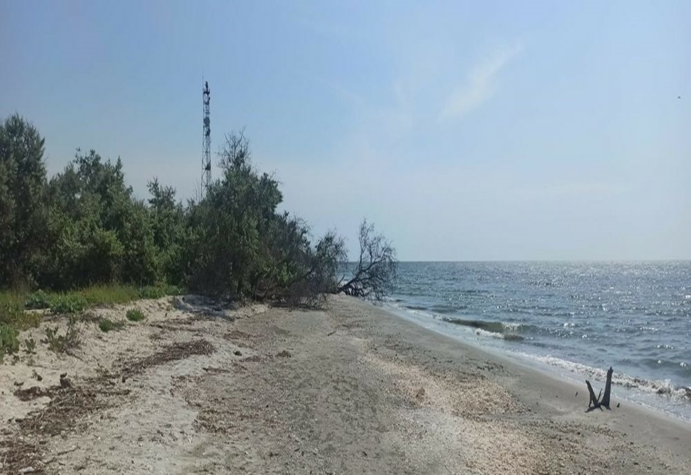  Viperele de stepă și-au făcut apariția în Rezervaţia Biosferei Delta Dunării