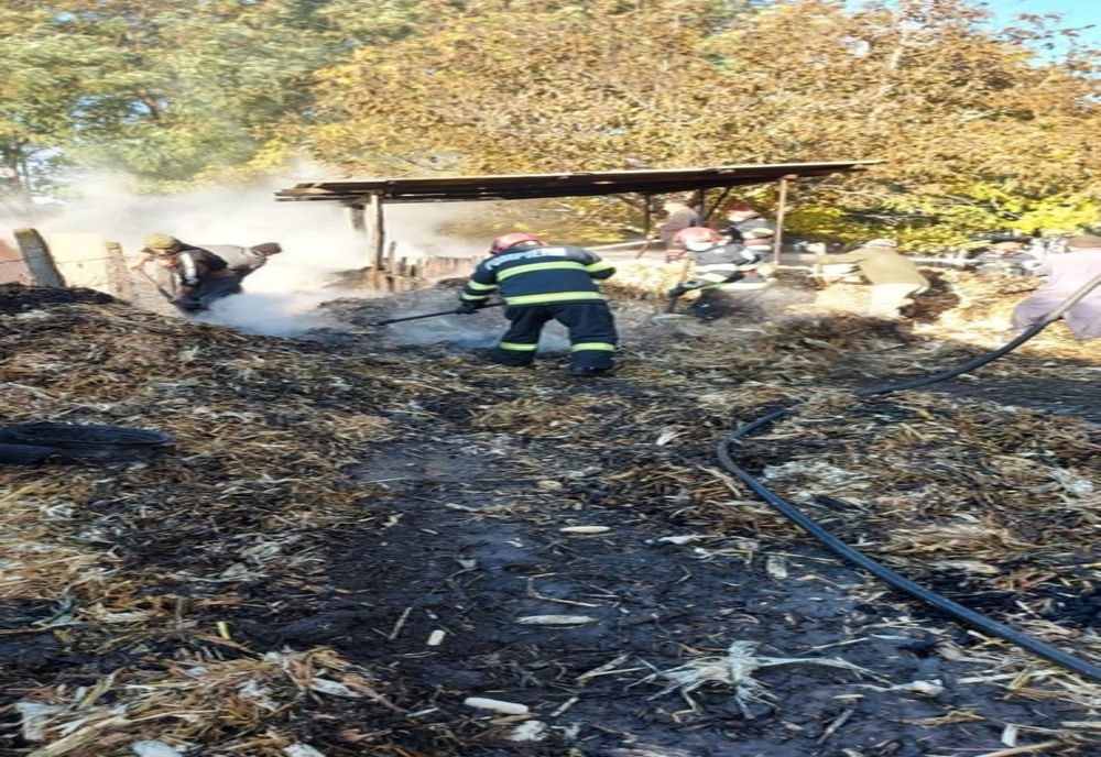 FOTO Incendiu violent la Munteni Buzău