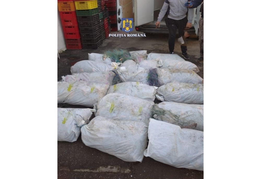 În perioada 24 – 25 martie a avut loc acțiunea „ACTION DAY – FISHERY”, pentru combaterea braconajului piscicol