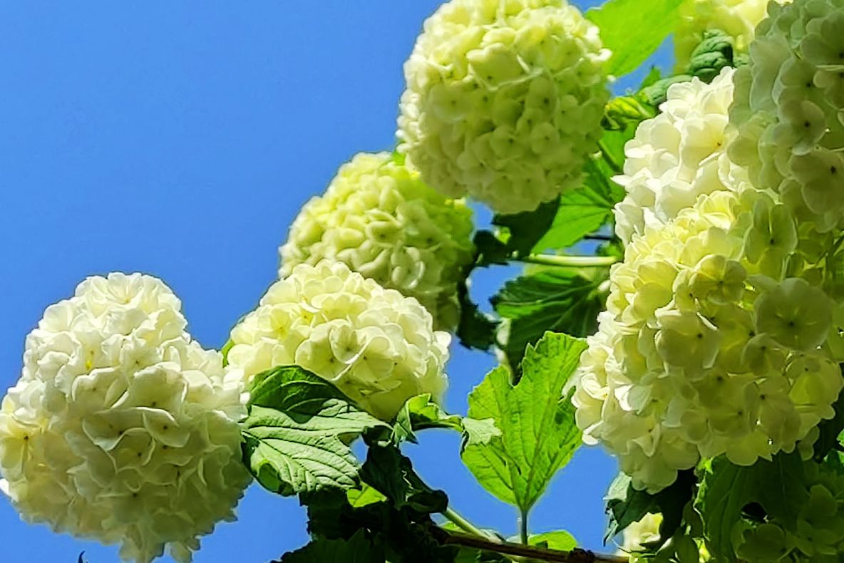 Vreme călduroasă astăzi în majoritatea zonelor țării