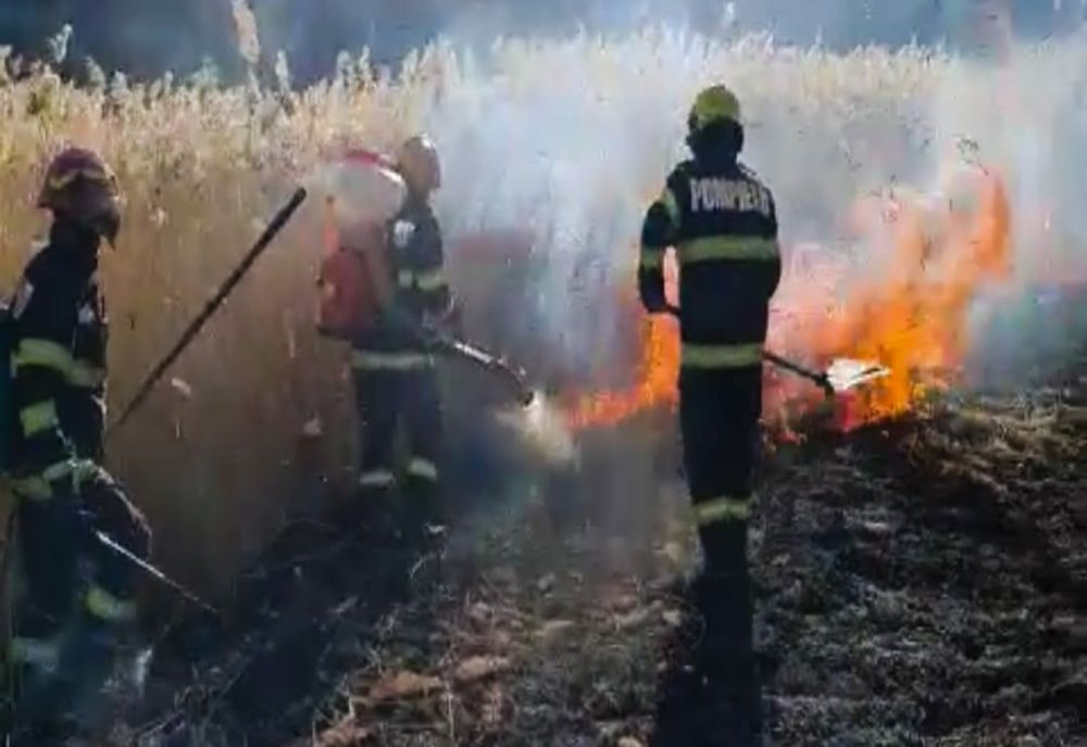 Seria incendiilor de vegetație uscată continuă