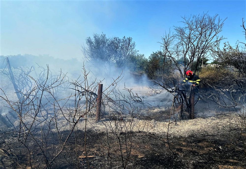 23 de misiuni desfășurate de salvatorii ialomițeni, în ultimele 24 de ore 
