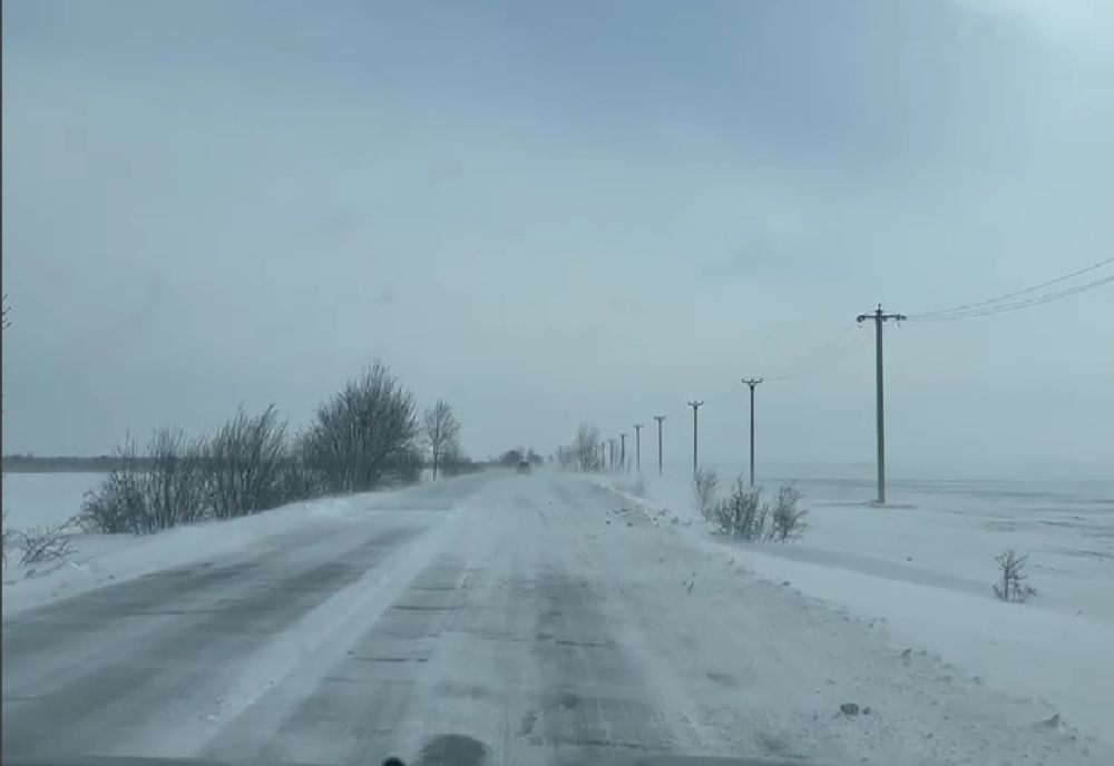 Avertizare cod galben de intensificări ale vântului care vor depăși la rafală 50...60 km/h