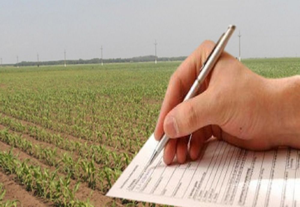 APIA a dat startul Campaniei de primire a Cererilor de Plată pentru anul 2023