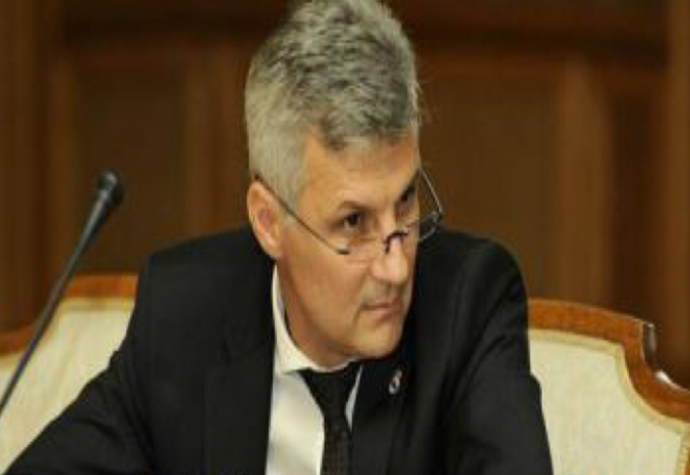 Daniel Zamfir: Toți senatorii PSD vor vota moțiunea AUR împotriva Dianei Buzoianu