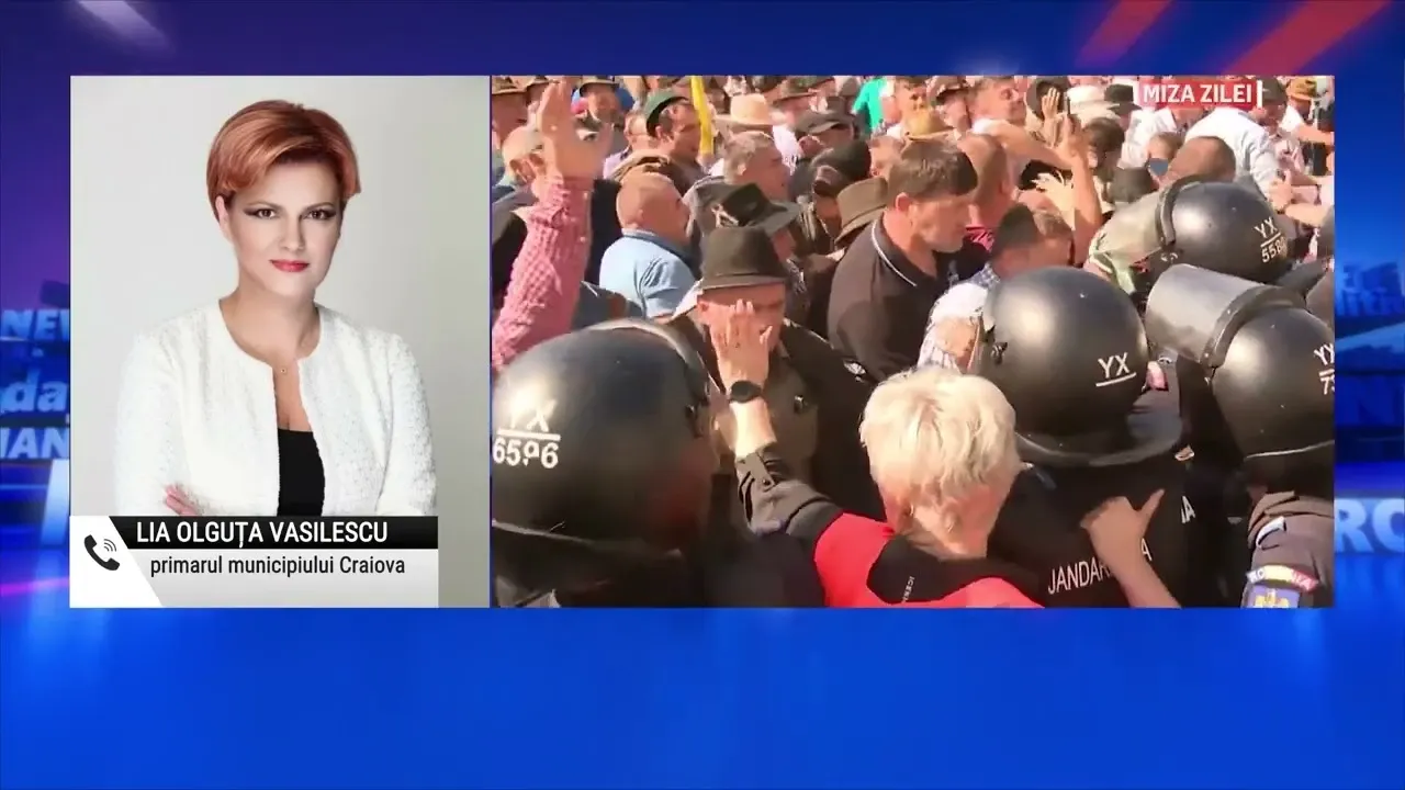 Lia Olguța Vasilescu pune tunurile pe Ilie Bolojan