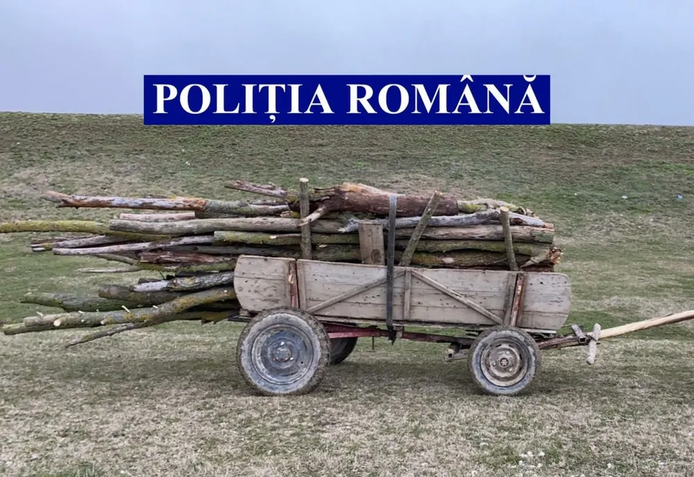 Căruțaș din Fetești, prins cu lemn furat