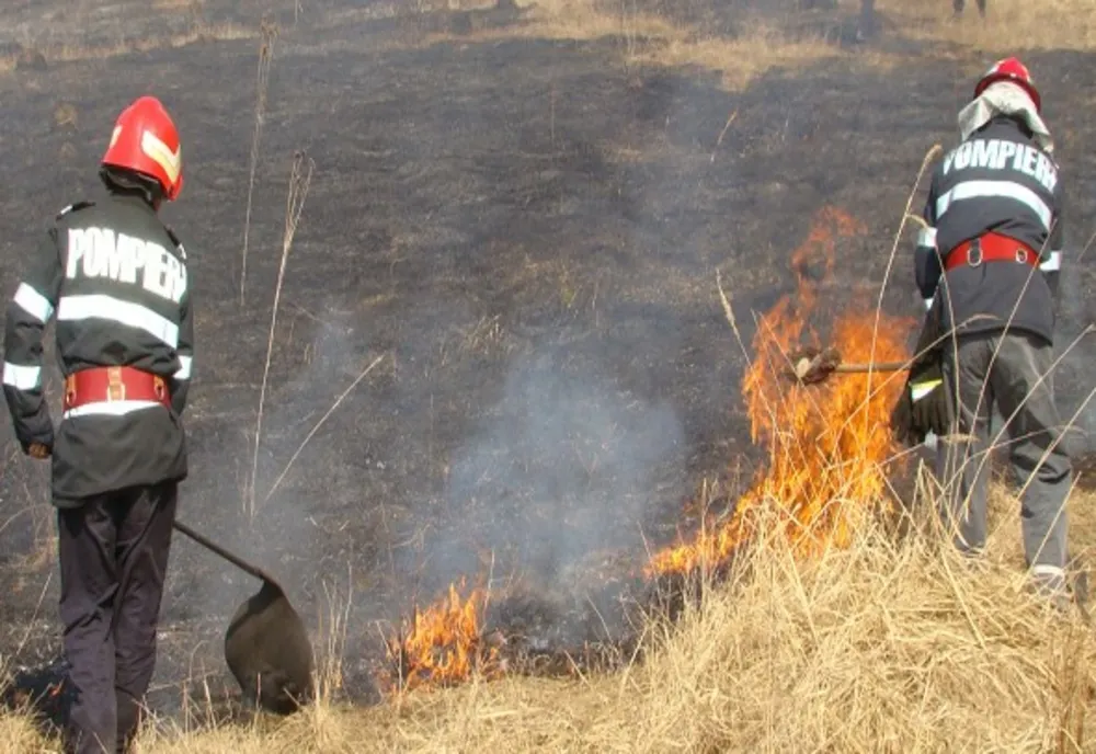 Incendiu de vegetație izbucnit din cauza unei țigări