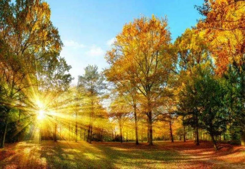 ANM: FINAL DE SEPTEMBRIE CU TEMPERATURI MAI RIDICATE DECÂT CELE SPECIFICE