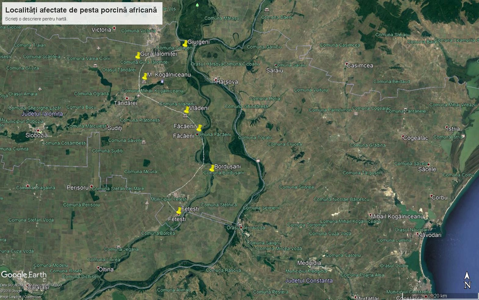 pesta porcină în Ialomița