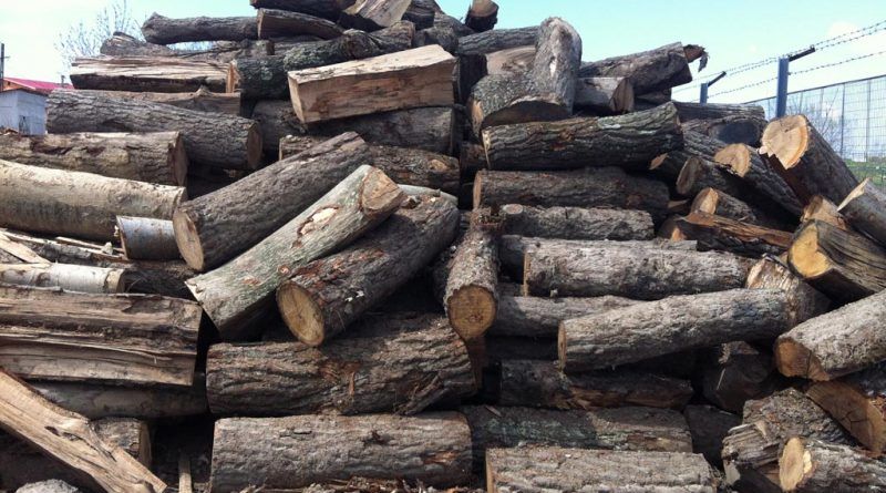 lemne-de-foc-800x445
