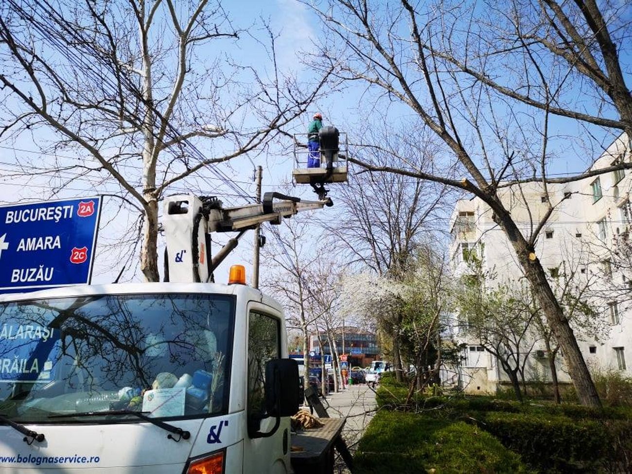 taiere-plopi-slobozia-ialomita