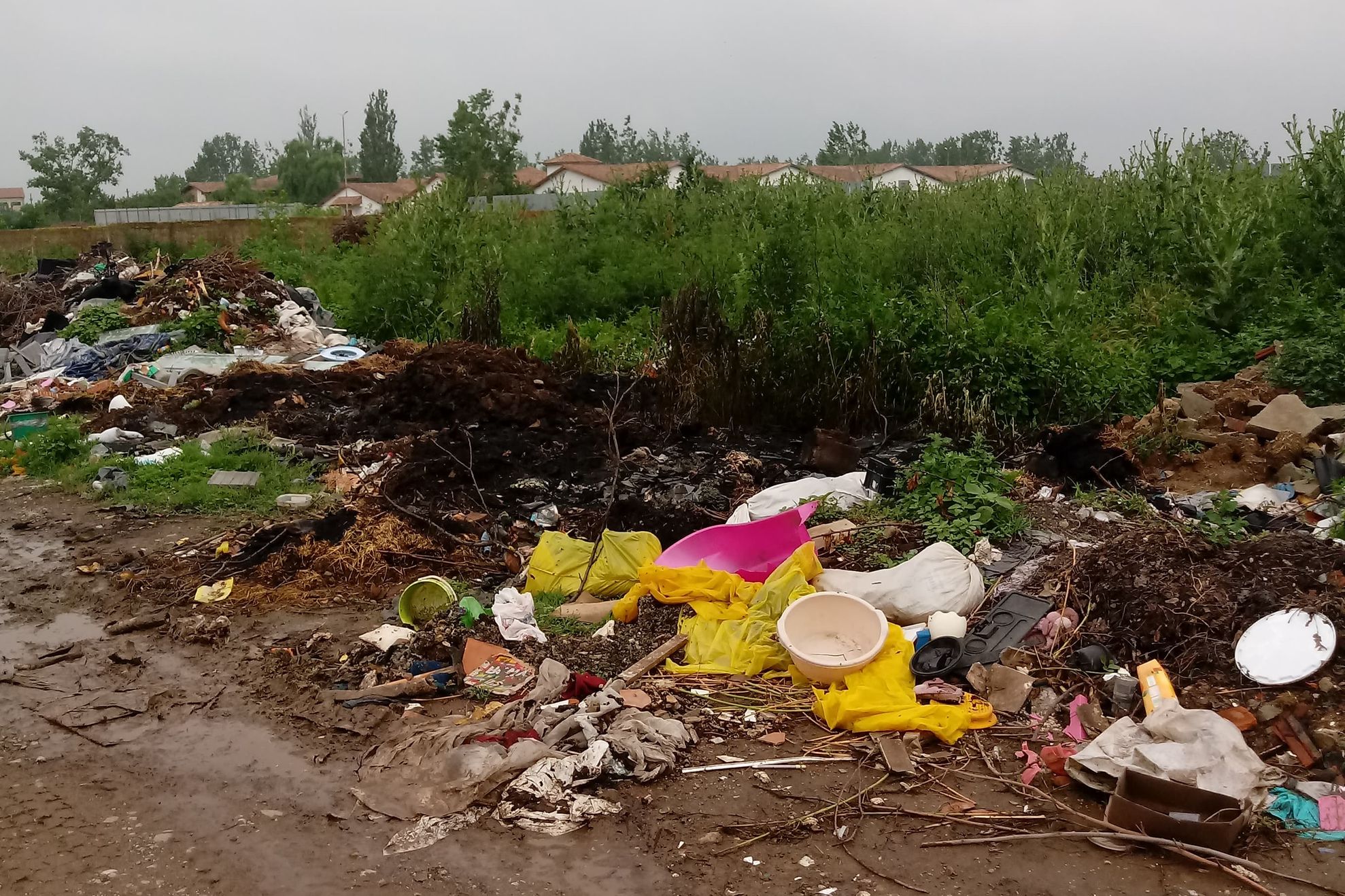 68438574_371649296880055_2287327680078544896_n