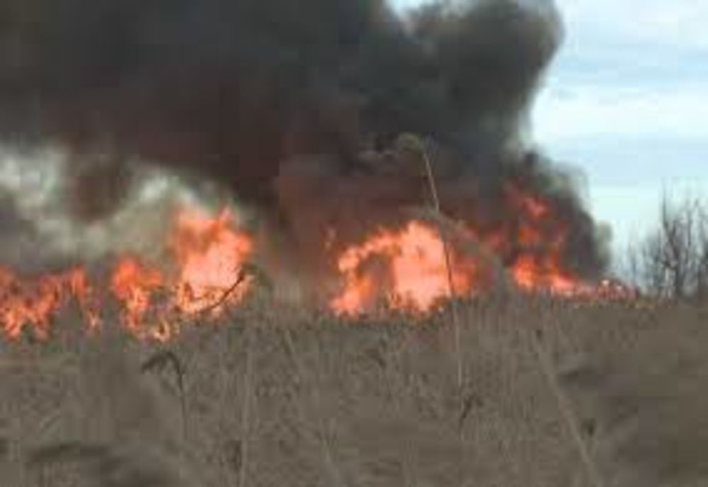 Incendiu de proporții la Vadu Oii. Pompieri din Constanța și Ialomița, în luptă cu flăcările