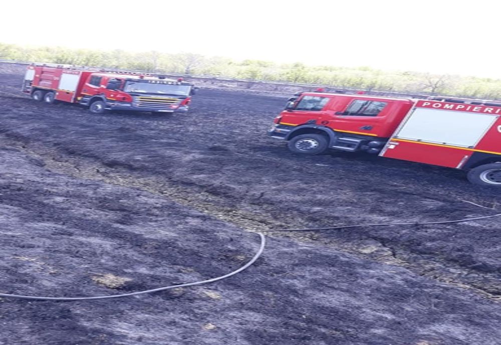 Incendiu de vegetație în Țăndărei