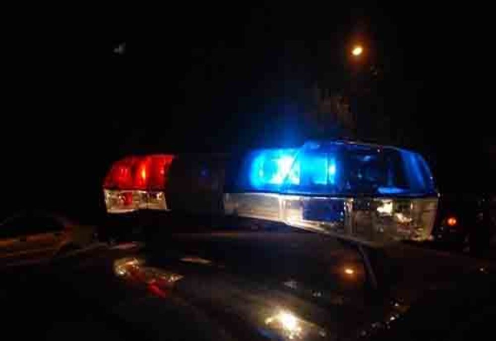 Accident grav din cauza unui cal ajuns pe şosea