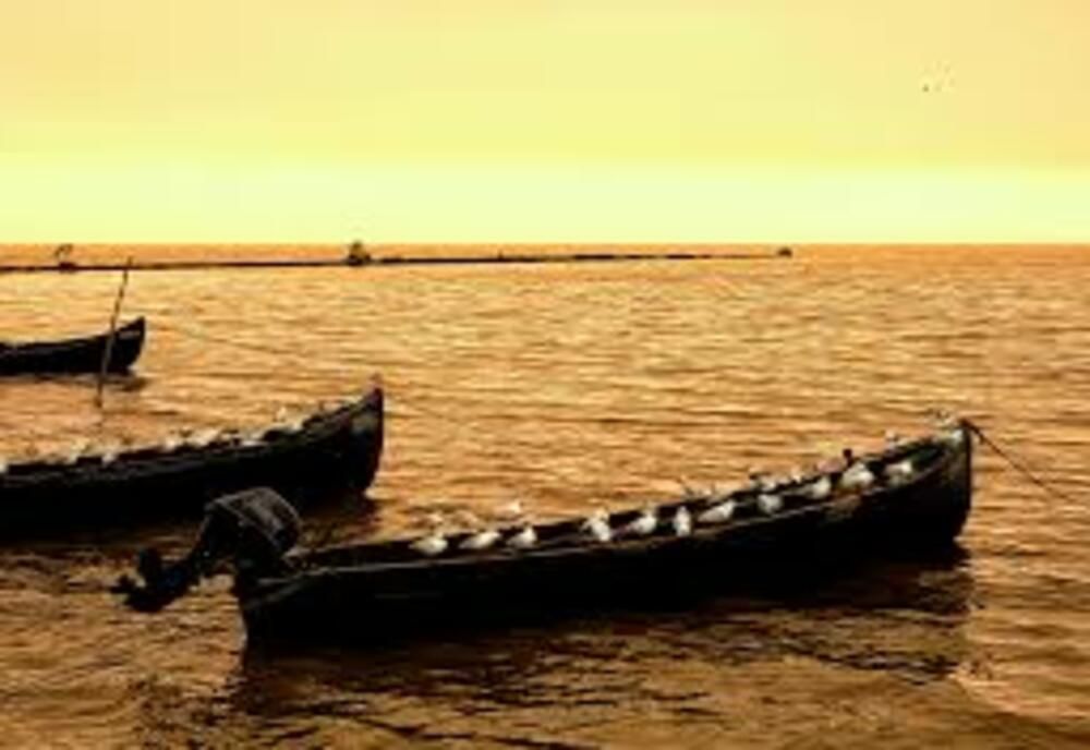 A început prohibiția pescuitului la știucă