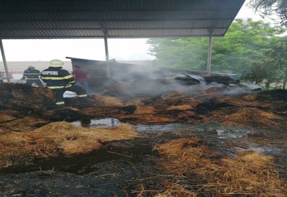 FOTO Incendiu violent la Vlădeni