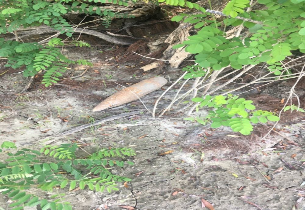 Descoperire „explozivă” pe malul Brațului Borcea