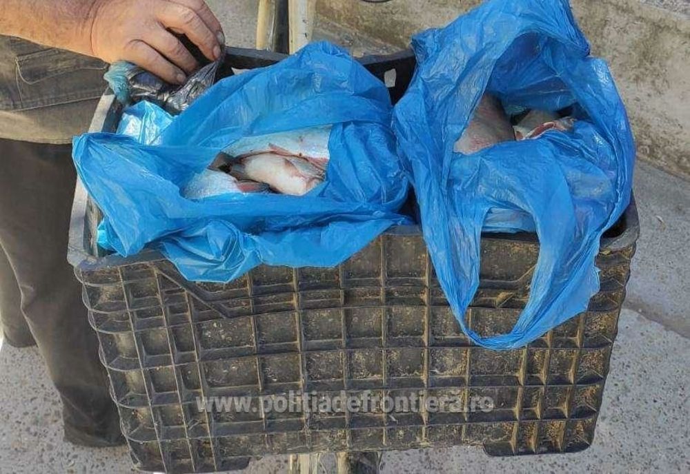  Vânzătoare de "ocazie". La 24 de ani s-a ales cu dosar penal 