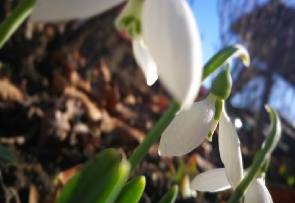 Vremea 17 februarie - Temperaturi șocante pentru luna februarie - Meteorologii fac anunțul momentului