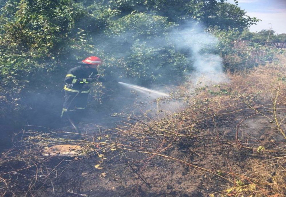 Incendiu violent  de vegetație uscată în Jilavele