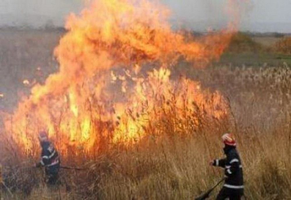 Incendiu la Jilavele. De la ce au pornit flăcările