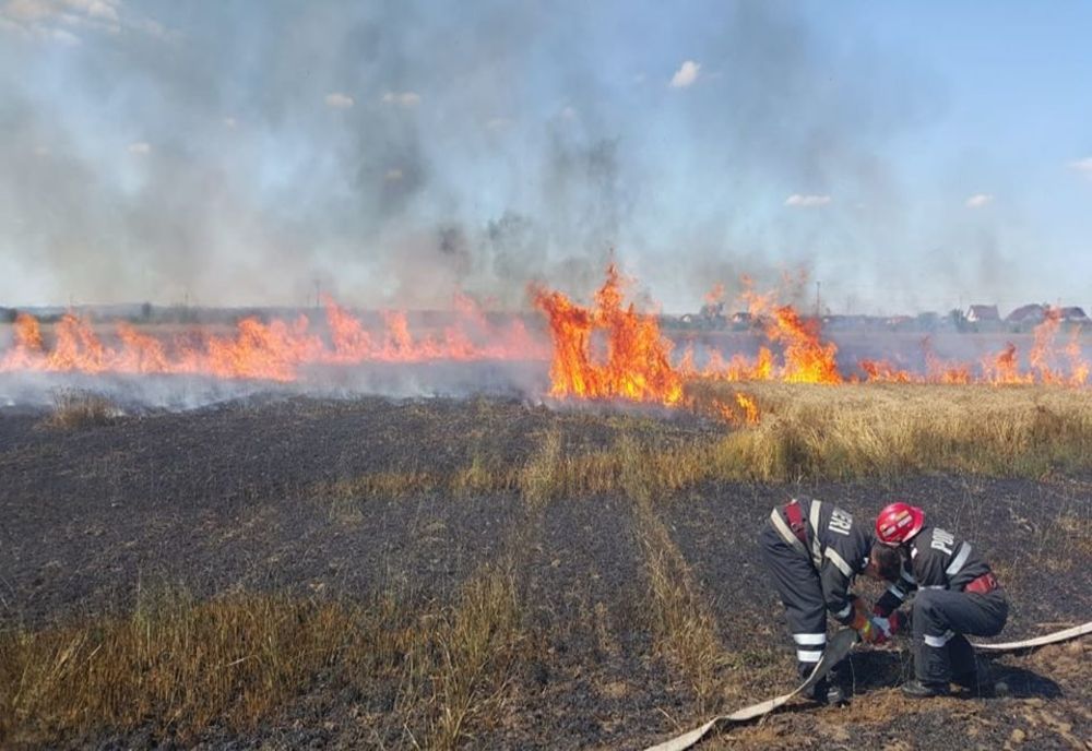 Incendii de vegetație uscată. Autoritățile în alertă