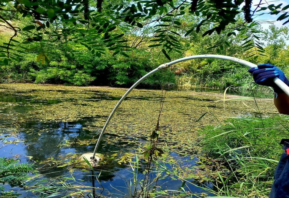 FOTO Miei salvați dintr-un canal de pompieri