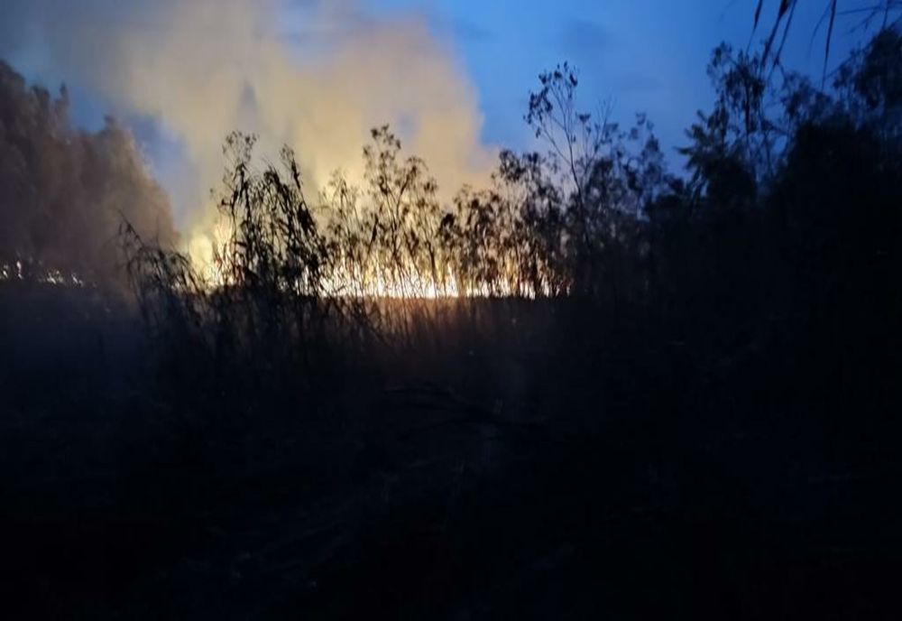 Intervenții ale pompierilor ialomițeni la 12 incendii de vegetație uscată, în weekend